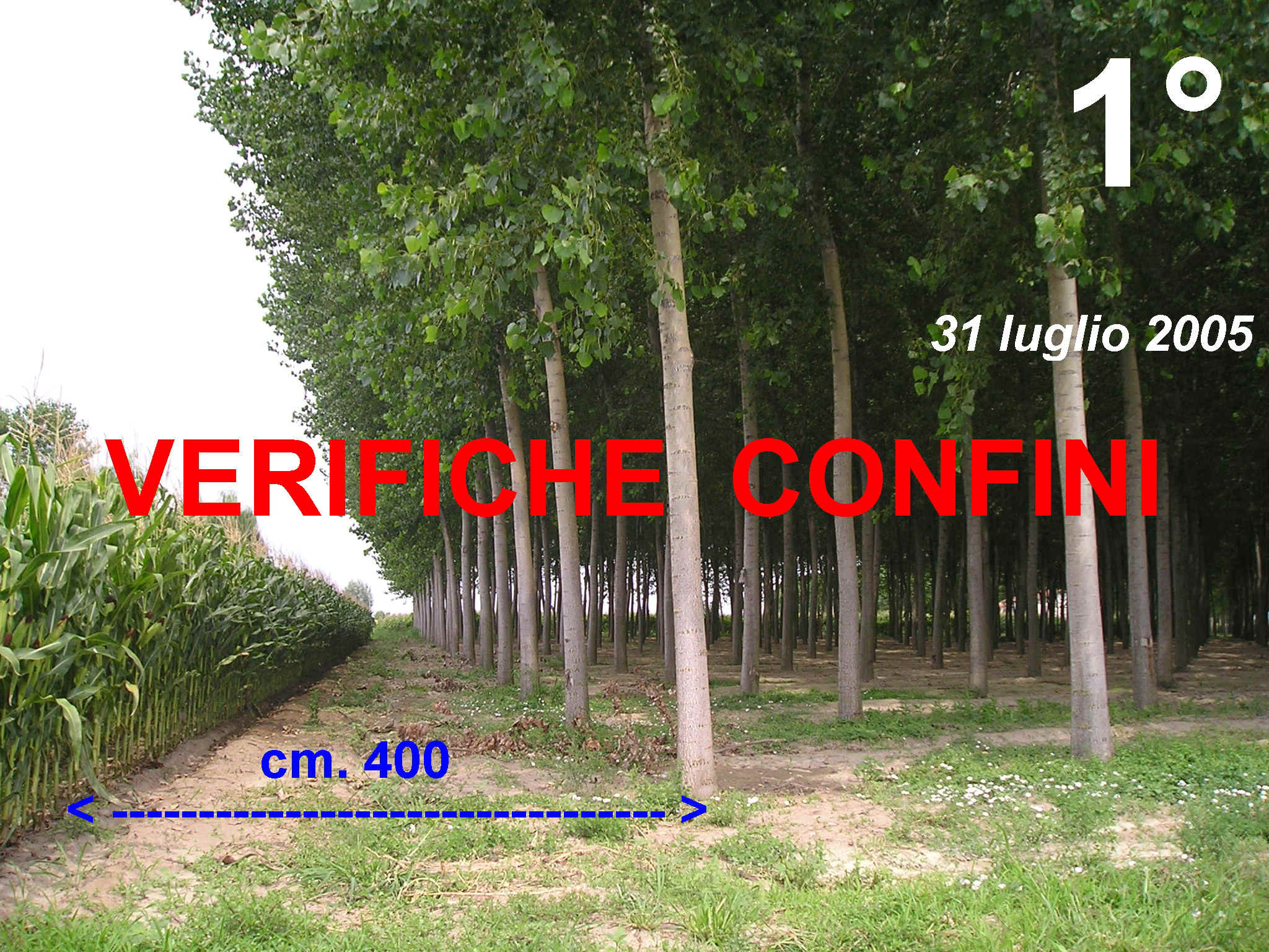 Verifiche.JPG (1002743 byte)